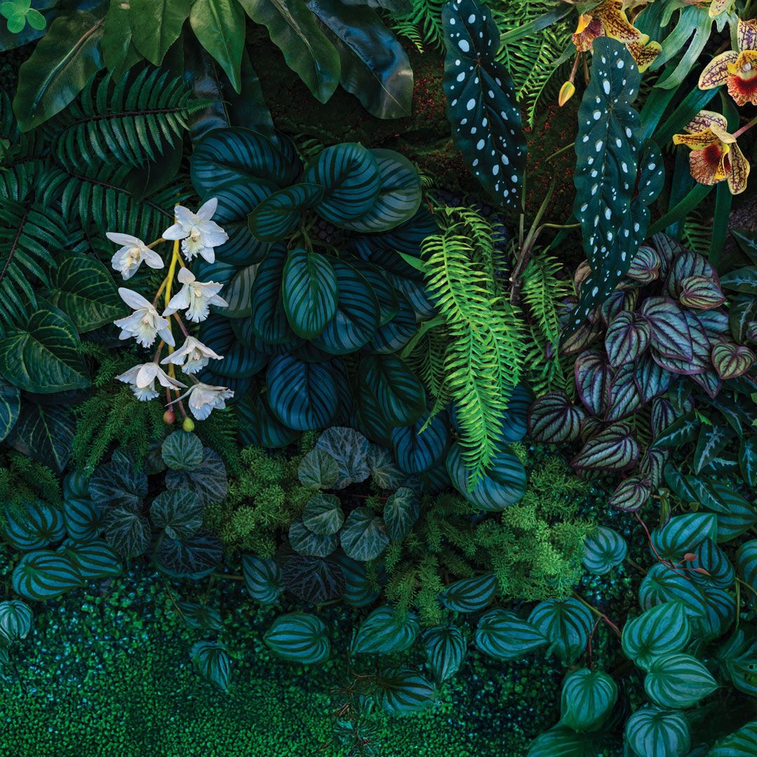 Back To The Beginning